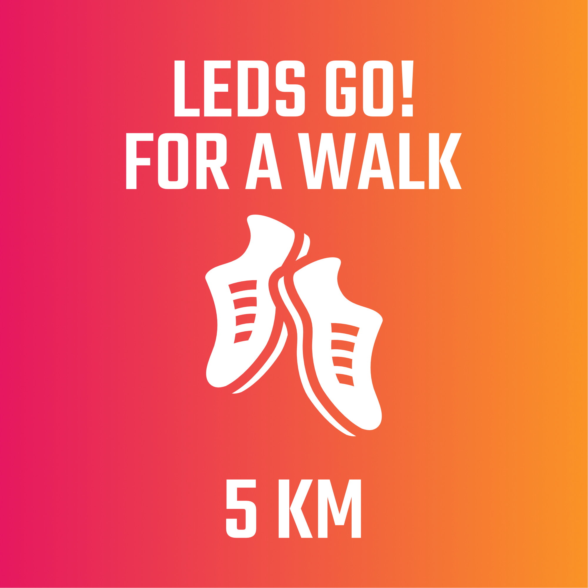 LEDS GO! for a walk